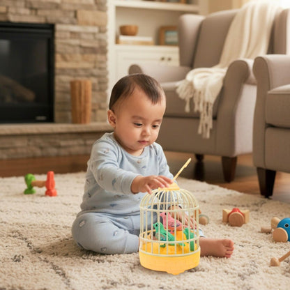Melody Birds Toy